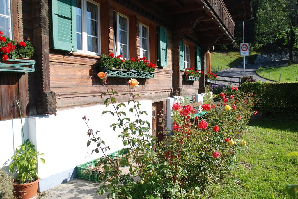 Chalet Tuftbach Apartamento Grindelwald Exterior foto